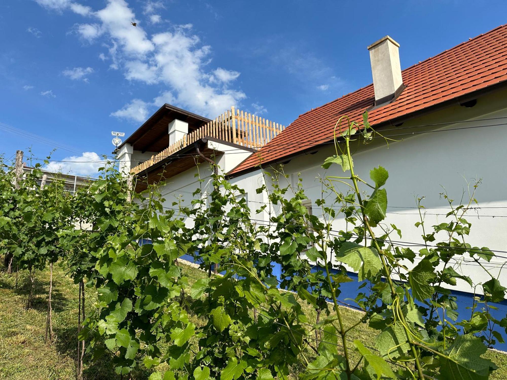 Nad Slovackym Sklipkem Villa Tupesy Buitenkant foto